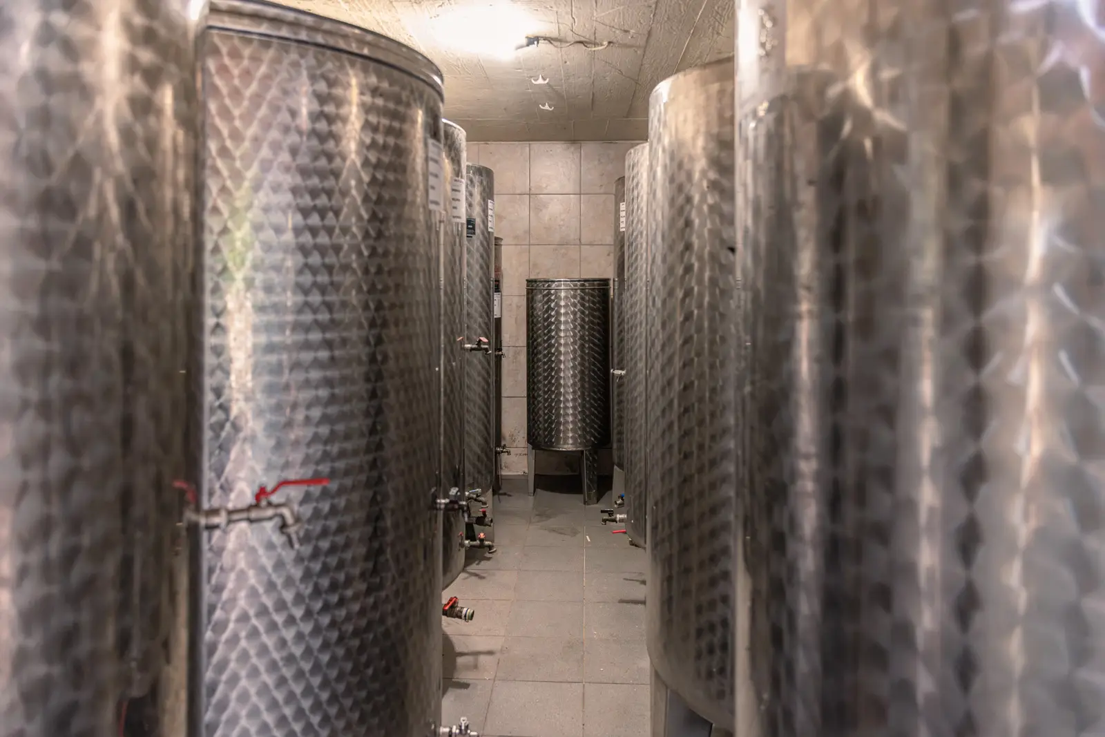 Vinarija Joković